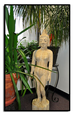 Acupuncture Entrance